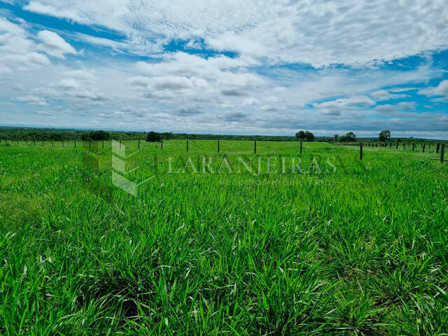 #3 - Fazenda para Venda em Nobres - MT